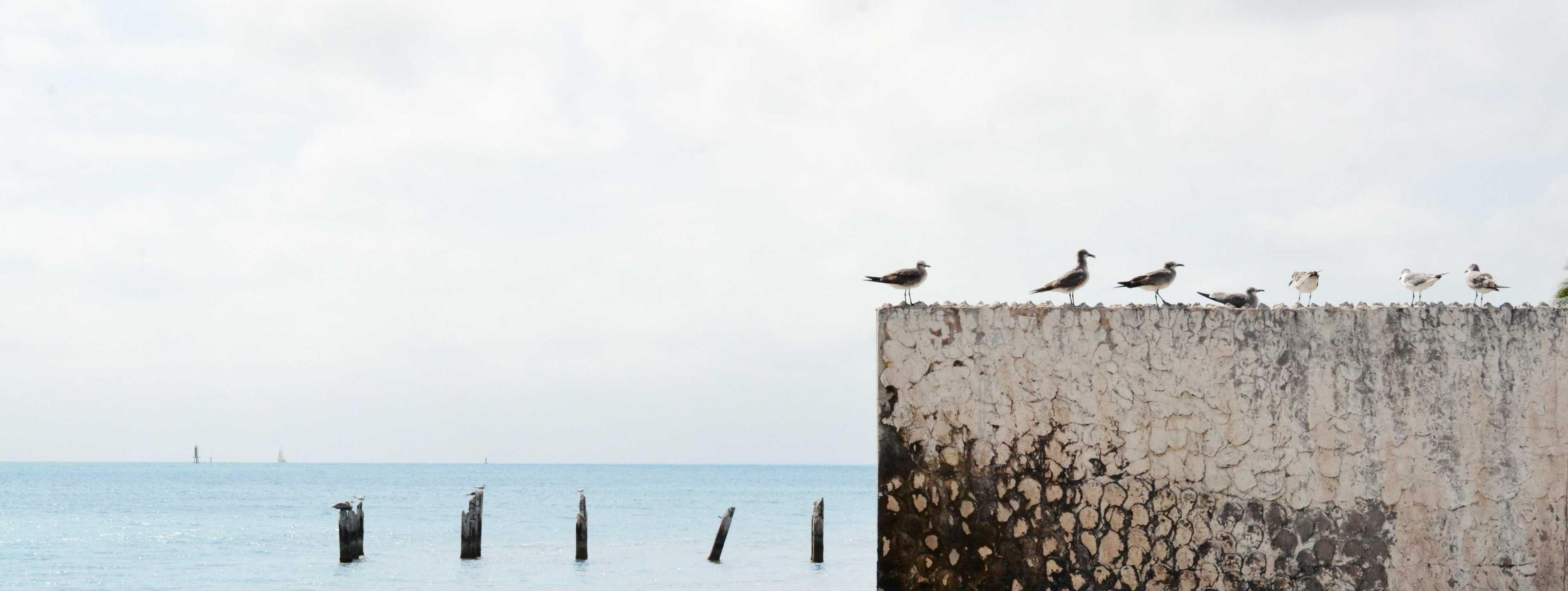 Gorgeous Jewelry باقة 2/25/2026, 2:54:41 AM