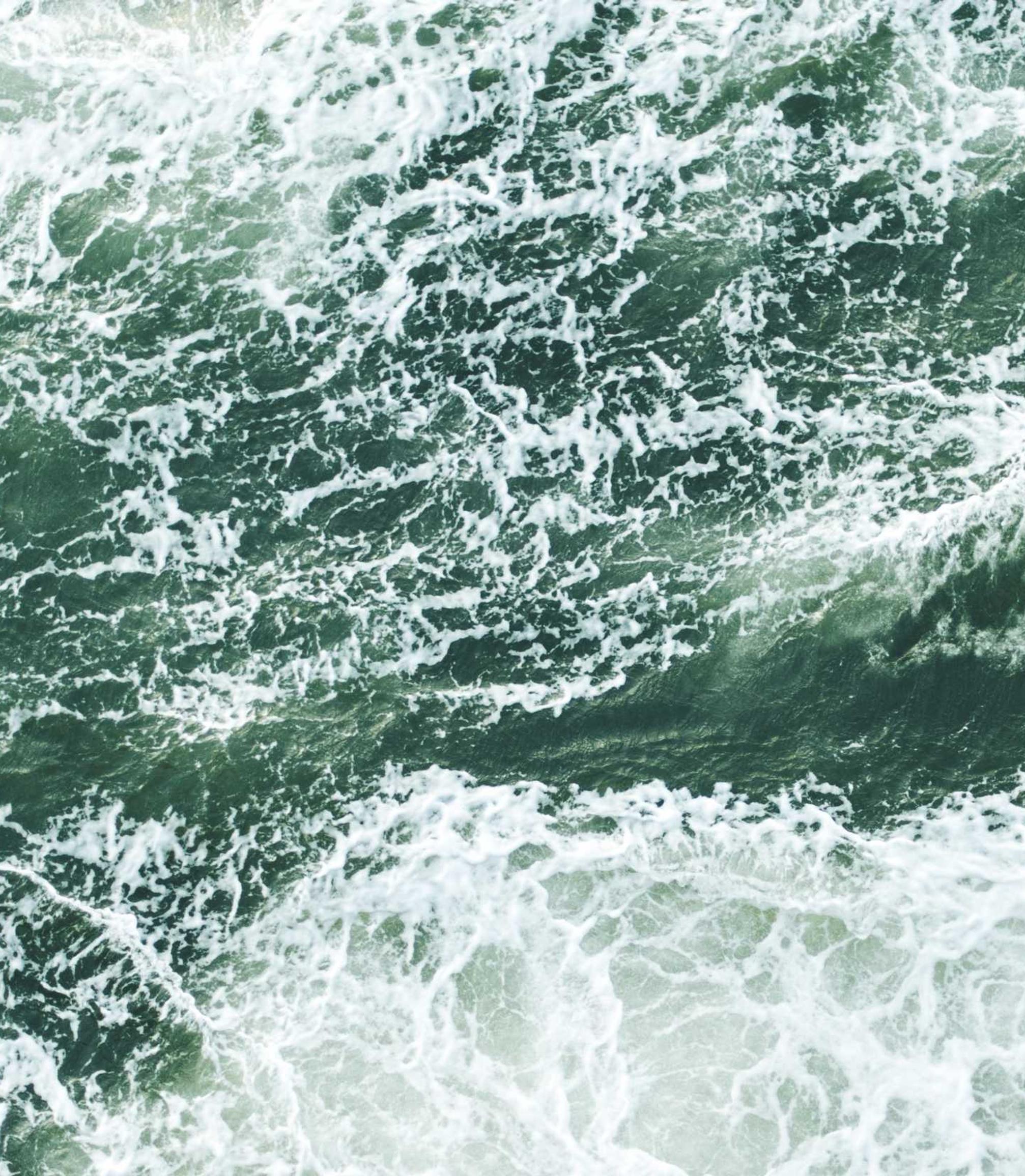 Recycled Grocery باقة 2/25/2026, 2:49:47 AM