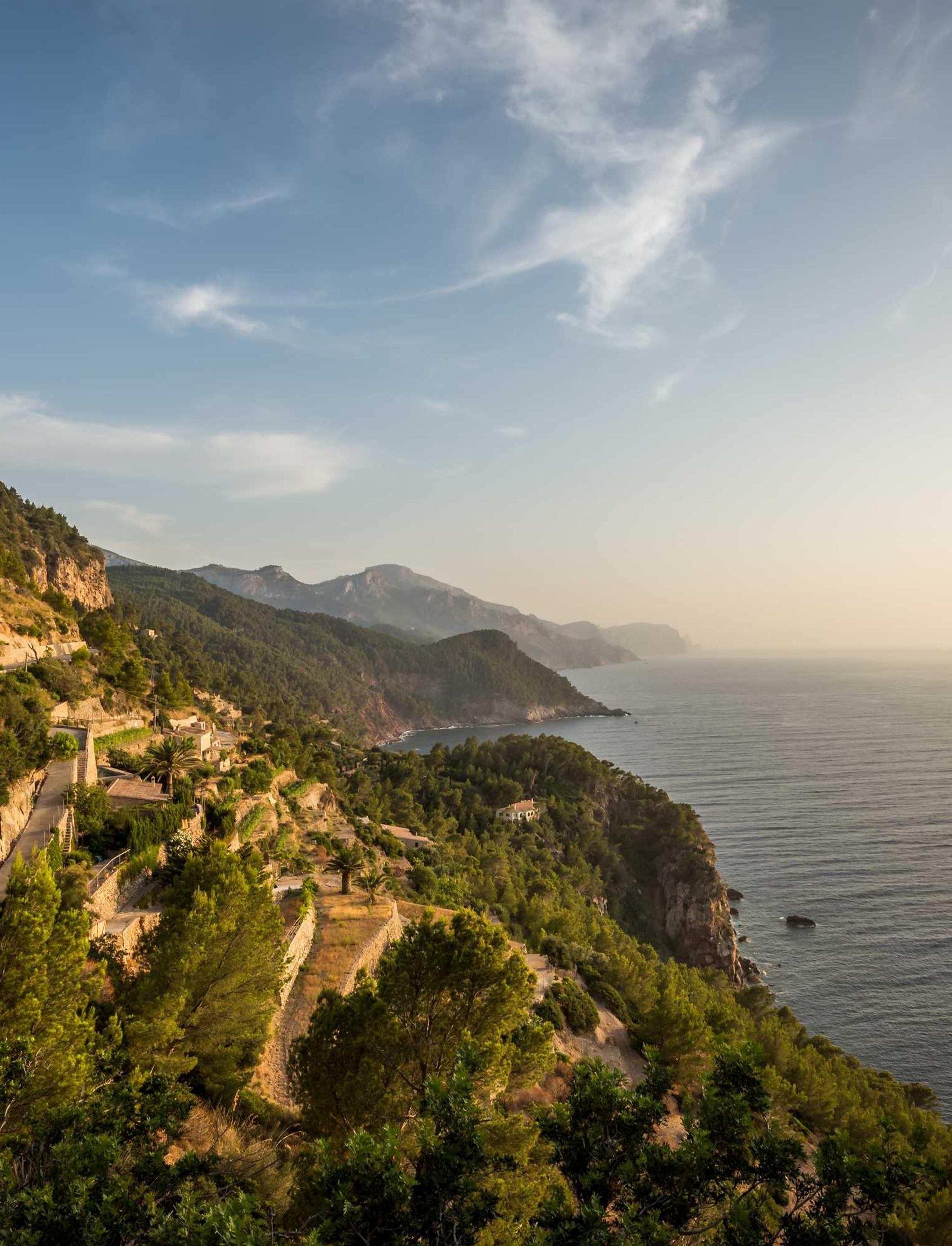 Luxurious Health باقة 2/25/2026, 2:49:18 AM