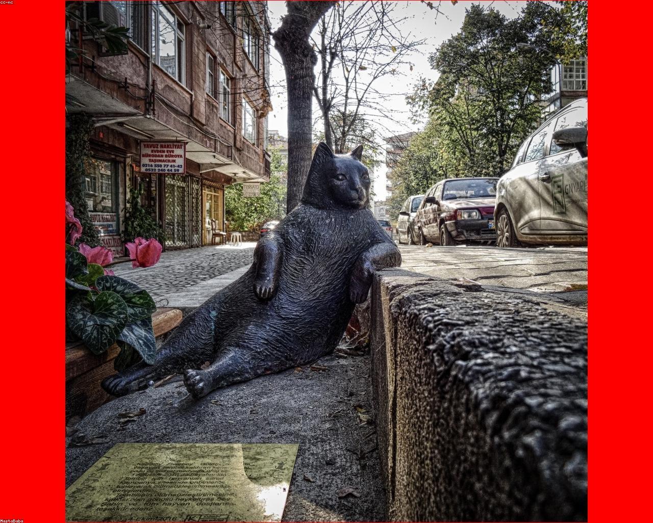 Generic Garden باقة 2/25/2026, 2:46:13 AM