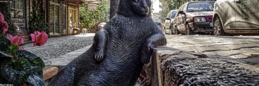 Generic Garden باقة 2/25/2026, 2:46:13 AM